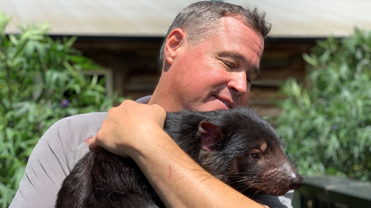 Biologist and wildlife conservationist Jeff Corwin holds a Tasmanian Devil at the Trowunna Wildlife Sanctuary in Tasmania.