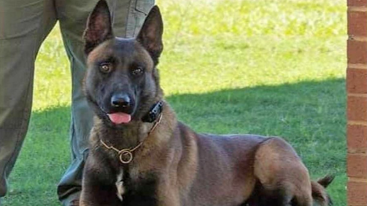 Monroe County K-9 Khan died after his handler left him inside a hot patrol car in Georgia.