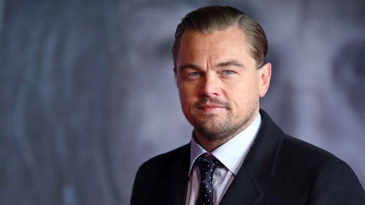 Leonardo DiCaprio owns an $8 million home in Malibu, Calif. (Photo by Mike Marsland/WireImage)