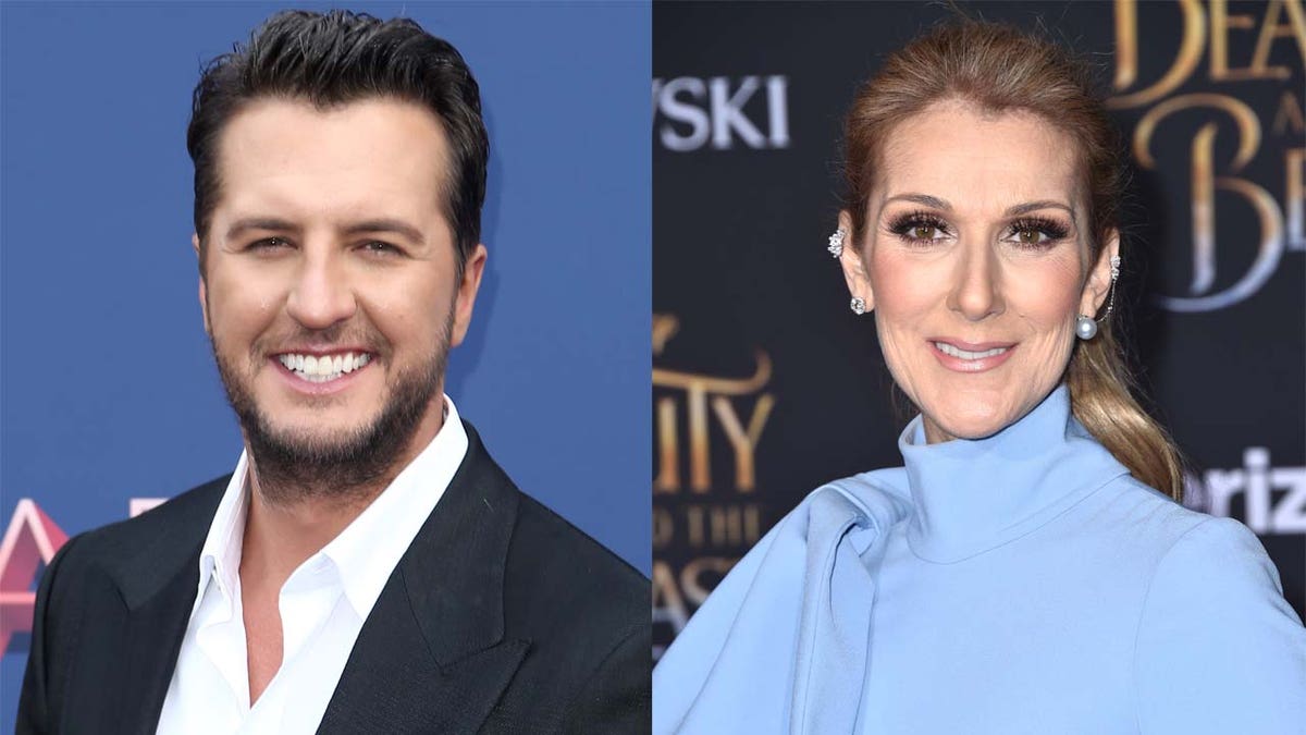 Luke Bryan and Celine Dion