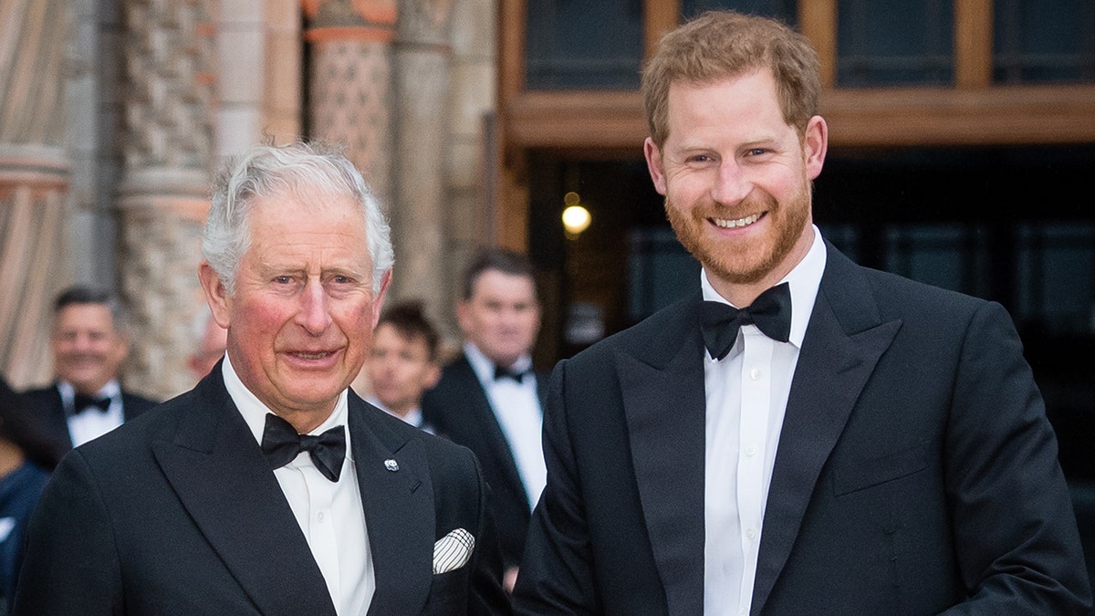 Prince Harry (right) said that his father Prince Charles (left) put him through ‘genetic pain and suffering.’ (Photo by Samir Hussein/Samir Hussein/WireImage)