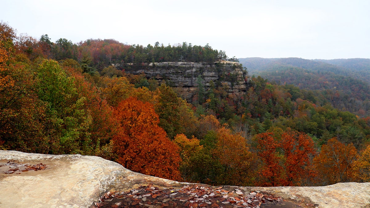 The Red River Gorge Geological Area in Kentucky, where Smith was found.
