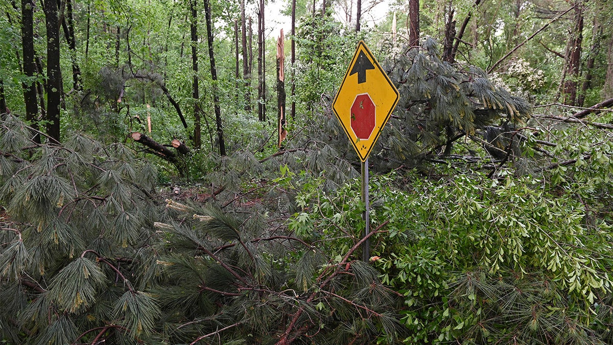 Downed trees cover Oakview Drive in Tupelo, Miss., Monday, May 3, 2021. A line of severe storms rolled through the state Sunday afternoon and into the nighttime hours. (AP Photo/Thomas Graning)