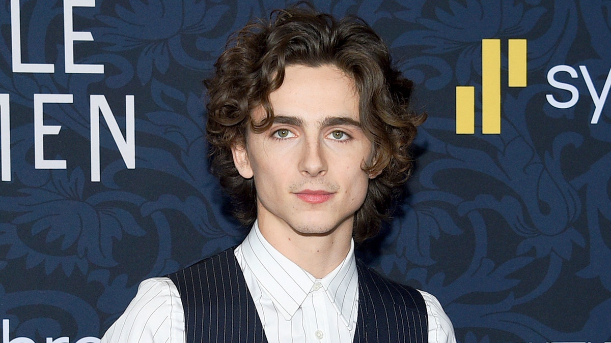 Picture of Chalamet