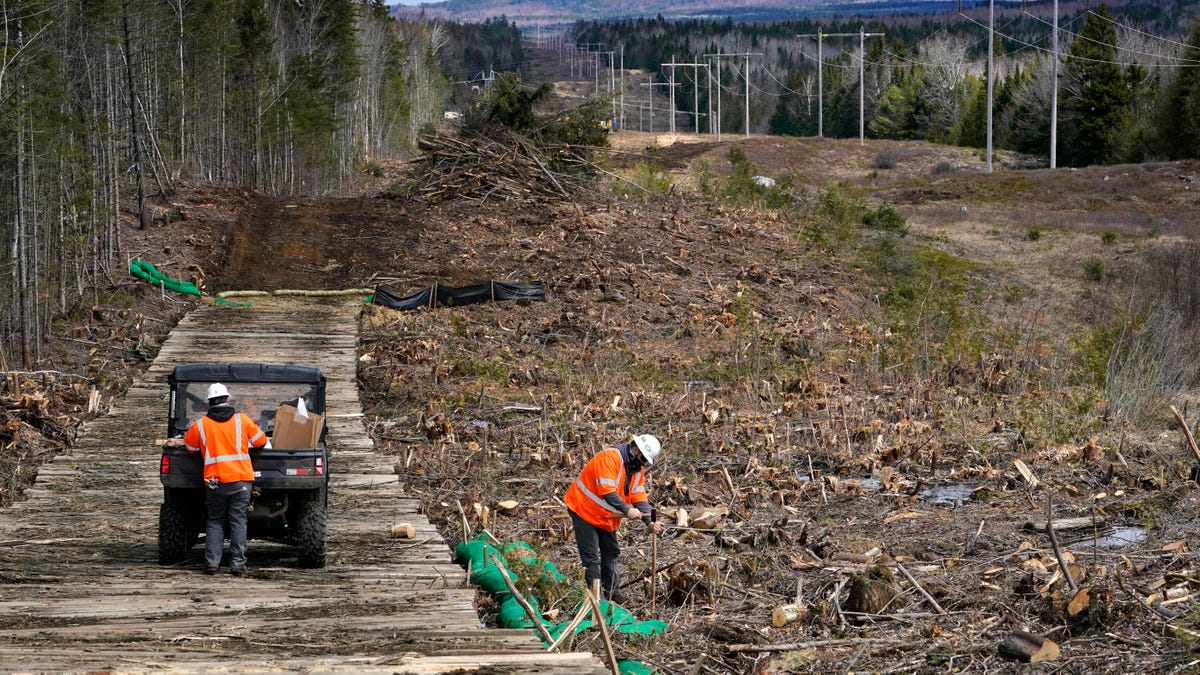FILE - In this April 26, 2021 file photo, workers for Northern Clearing pound stakes to mark land on an existing Central Maine Power power line corridor that has been recently widened to make way for new utility poles, near Bingham, Maine.