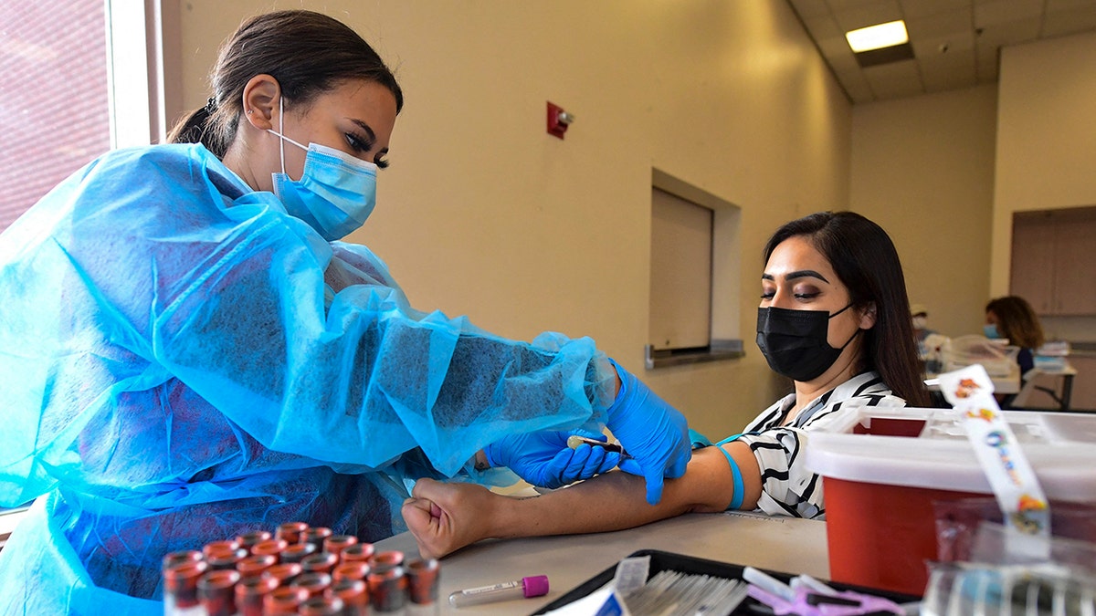 Phlebotomist Briana Green draws blood from Maritza Nieves during the new FDA emergency use and authorized IgG ll Antibody Test for vaccinated people, offered free of charge in Santa Fe Springs, California, on April 21, 2021. - (Photo by Frederic J. BROWN / AFP) (Photo by FREDERIC J. BROWN/AFP via Getty Images)