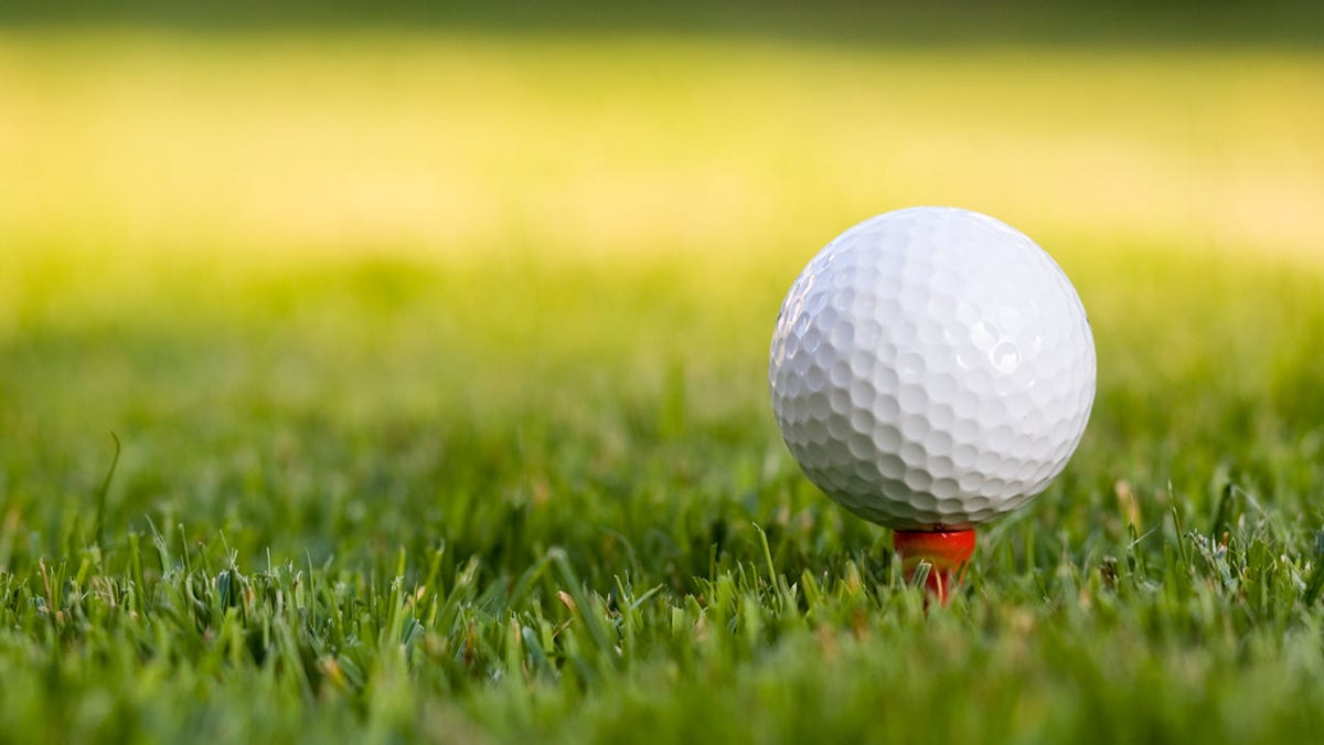 close up of a golf ball on a golf fee