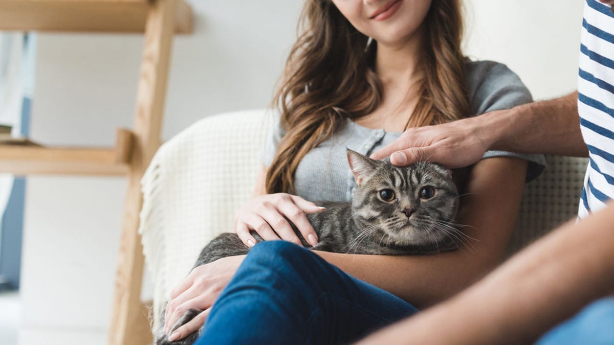 happy young couple petting cat at home while sitting on floor