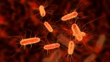 E.coli outbreak in Washington state may be linked to fresh produce, officials say