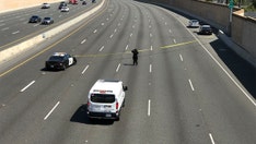 Reward reaches $300K for California freeway shooter who killed 6-year-old