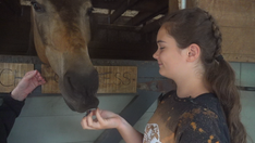 Summer camps making comeback after coronavirus-era shutdowns