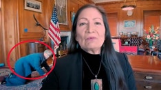 Haaland staffer caught crawling in background of her Seth Meyers interview: 'We know you're behind the desk'