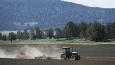 South Carolina boys, 8 and 9, to be charged in shooting death of 62-year-old man