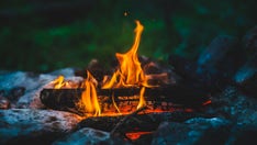 Average American thinks they could survive two weeks in the wild despite lack of experience