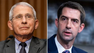 Tom Cotton: Fauci now acting like a Democrat 'activist,' not a scientist or doctor