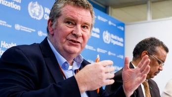 Panel suggests WHO should have more power to stop pandemics