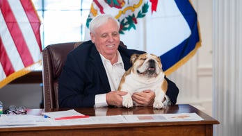 Governor makes bulldog the face of West Virginia's COVID-19 vaccine lottery