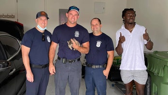 NFL player Isaac Yiadom’s Maserati taken apart to rescue kitten trapped inside