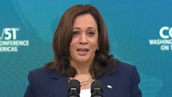 MSNBC guest claims 'off the charts' criticism of VP Harris on border from left and right is sexist and racist