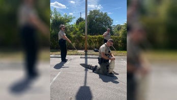 Alligator chases people through Wendy's parking lot in Florida