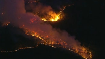 New Jersey wildfire burns nearly 900 acres of forest