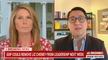 MSNBC's Nicolle Wallace, a Bush aide during 9/11, was unfazed as guest claimed GOP is 'worse' than Al Qaeda