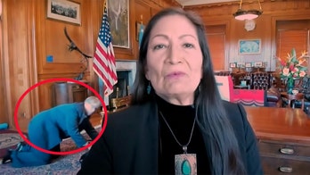 Haaland staffer caught crawling in background of her Seth Meyers interview: 'We know you're behind the desk'