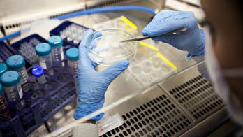 After mocking and dismissing Wuhan lab theory, media now taking it seriously