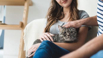 People let their pets decide who they date, new survey suggests