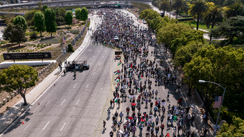 ‘Free Palestine’ demonstrators block traffic in Los Angeles: 'Long live intifada'
