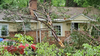 South Carolina tornado spotted after 1 person dead in Georgia storm: report