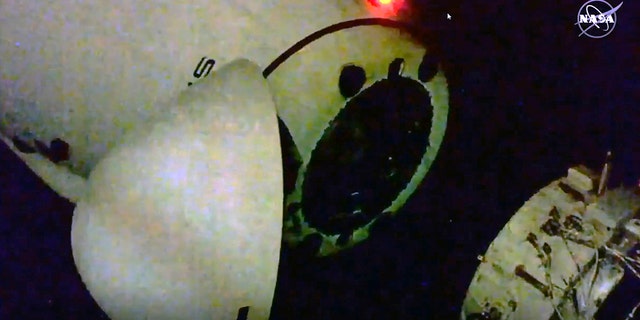 Това изображение от видео, предоставено от НАСА, показва, че капсулата SpaceX напуска Международната космическа станция, събота, 1 май 2021 г. Капсулата SpaceX, носеща четирима астронавти, напуска Международната космическа станция късно събота, целяща рядък нощен пожар, който да прекрати компанията.  Втори полет на екипажа.  (НАСА чрез AP)