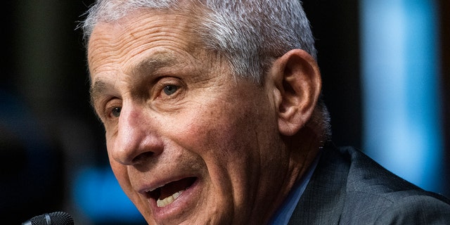 Dr. Anthony Fauci speaks in Washington, May 11, 2021. (Associated Press)
