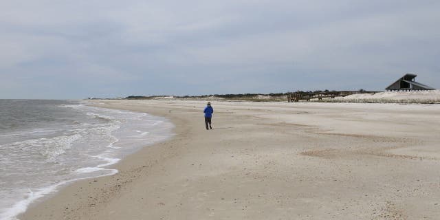 Dr. Julian G. Bruce St. George Island State Park is located in St. George Island, Fla. (AP Photo/William Kronholm)