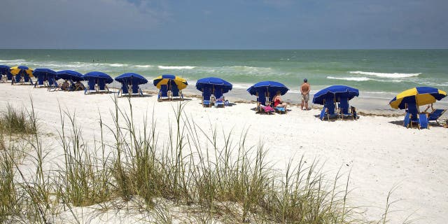 Caladesi Island State Park is located partially in Dunedin and Clearwater, Fla. (AP Photo/Craig Litten)