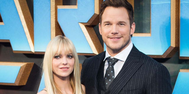 Anna Faris said that she felt her 'hand was forced' when divorcing Chris Pratt. (Photo by Samir Hussein/WireImage)