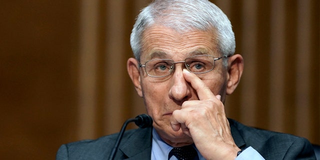 Dr. Anthony Fauci, director of the National Institute of Allergy and Infectious Diseases, testifies during a Senate Health, Education, Labor, and Pensions hearing to examine an update from Federal officials on efforts to combat COVID-19, Tuesday, May 11, 2021 on Capitol Hill in Washington. Fauci on Tuesday defended \