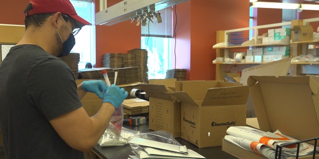 The CDC has paid for the University of Arizona to study the virus and vaccine's impacts on high-risk groups like first responders and front-line workers through the AZ Heroes program. Students are packing up boxes with nasal swabs, test tubes, and return envelopes for the program's participants (Stephanie Bennett/Fox News).