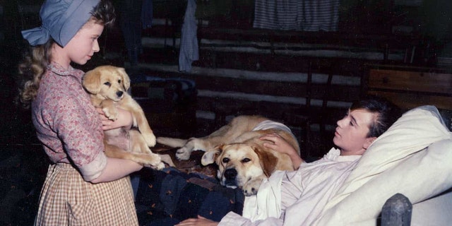 Beverly Washburn said she was eager to work with animals before taking on 'Old Yeller.'