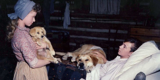 Beverly Washburn said she was eager to work with animals before taking on 'Old Yeller.'