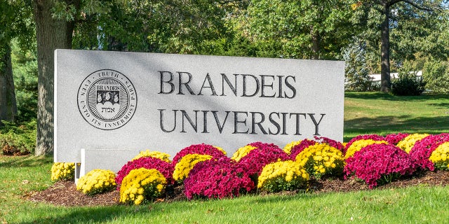 Brandeis University was widely mocked for its "suggested language" list that encouraged students and staff to not use expressions that may sound too violence including "trigger warning."