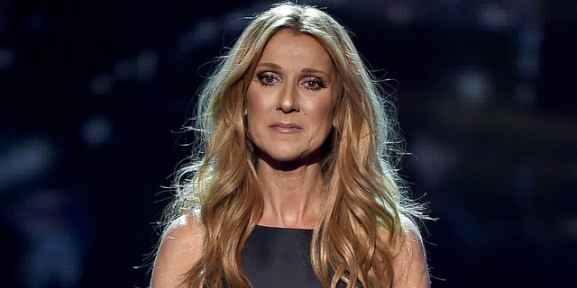 Celine Dion owns a home in Florida that has three pools.  (Photo by Kevin Winter/Getty Images)
