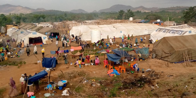 Image provided by the Amhara Association of America.