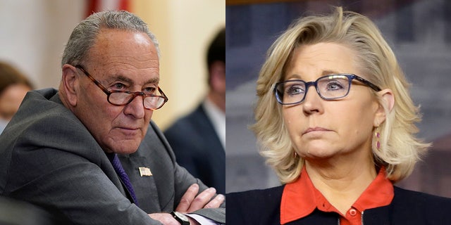 Senate Majority Leader Chuck Schumer, D-N.Y., named Rep. Liz Cheney, R-Wyo., during debate on Democrats' sweeping election bill in the Senate Rules Committee Tuesday.