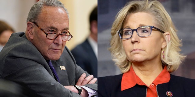 Senate Majority Leader Chuck Schumer, D-N.Y., named Rep. Liz Cheney, R-Wyo., during debate on Democrats' sweeping election bill in the Senate Rules Committee Tuesday.