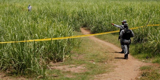 Police officers secure the perimeter of the site where the mass grave was dug (source, .Jose Cabezas/Reuters)