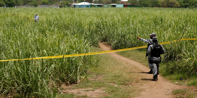 Police officers secure the perimeter of the site where the mass grave was dug (source, .Jose Cabezas/Reuters)