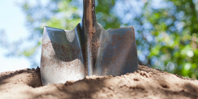School ID from purse that 'had probably been stolen' returned to owner after 40 years A homeowner was apparently digging a fence post in his backyard and "noticed a very old and crumbly purse," according to police, who eventually found the rightful owner of the long-lost item.