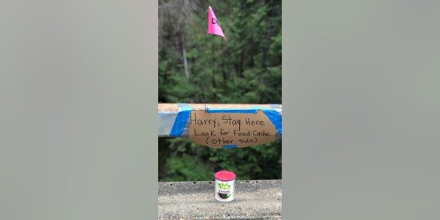 后 17 nights in the wilderness, 69 year-old Harry Burleigh has been found alive and rescued by Search and Rescue crews who never gave up. 星期日, 可能 23, 2021, Douglas County Search and Rescue conducted another mission in the area of Calf Creek after Burleigh's fishing gear was found last weekend. Additional SAR resources were called in from Jackson County, Lake County and Siskiyou County (那) for Sunday's efforts.