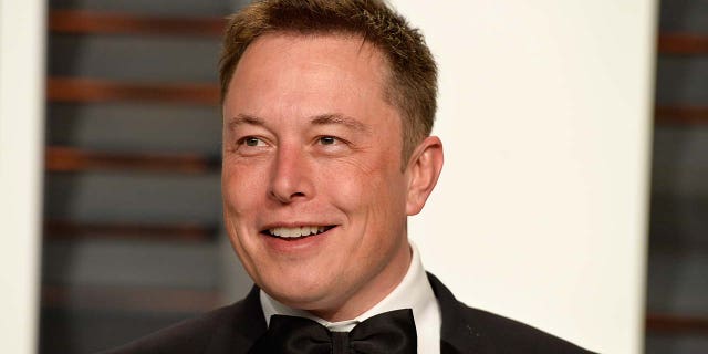 Tesla CEO Elon Musk. (사진: Pascal Le Segretain/게티 이미지)